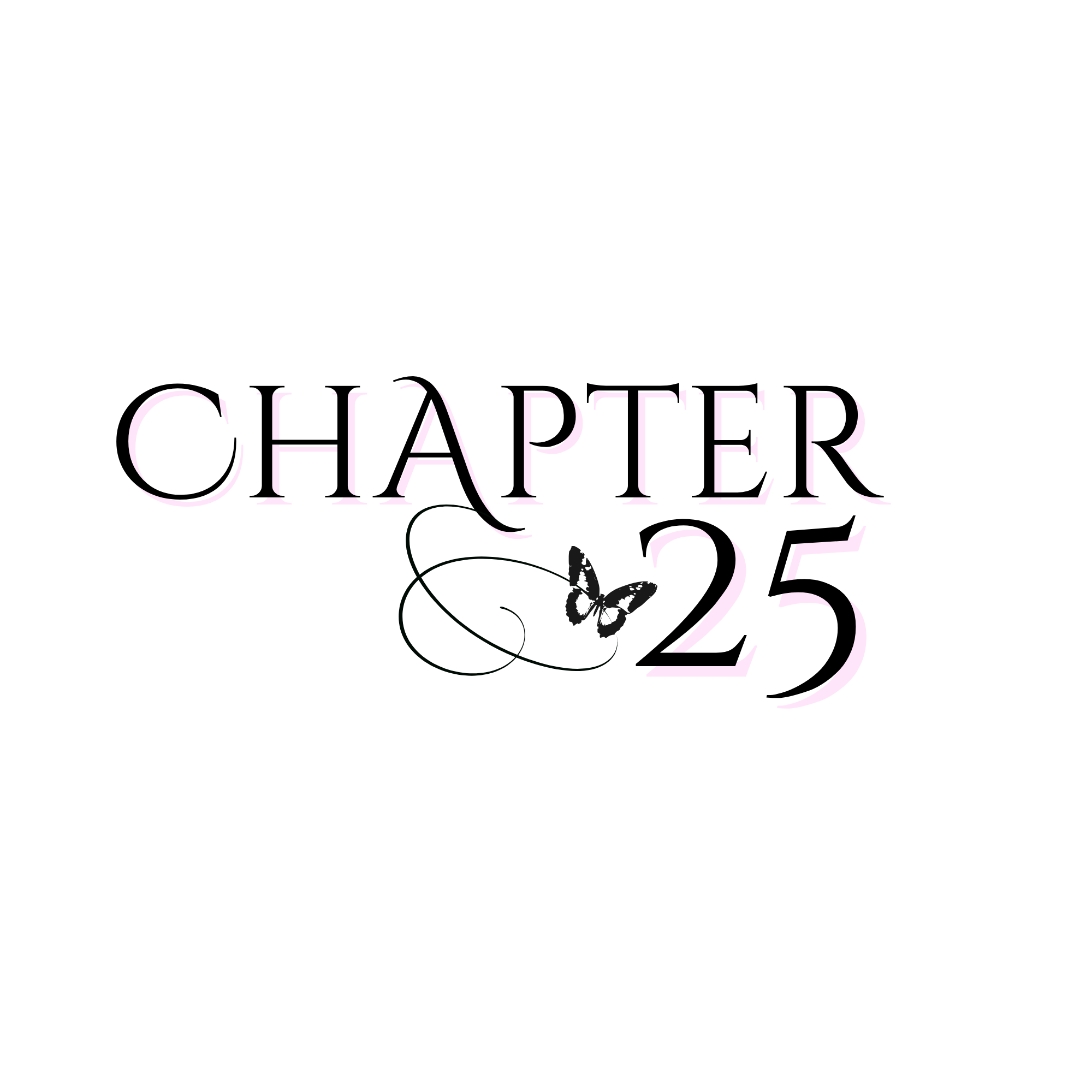 Chapter 25